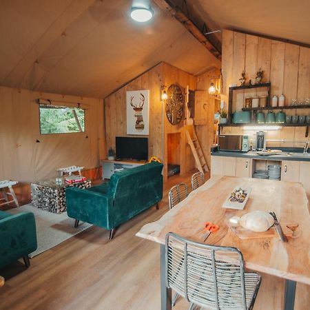 Cosy Forest Lodge Penrhos  Extérieur photo