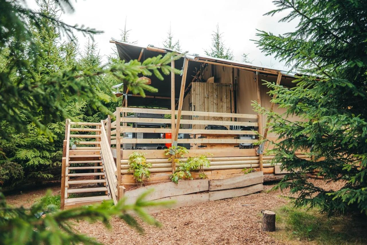 Cosy Forest Lodge Penrhos  Extérieur photo