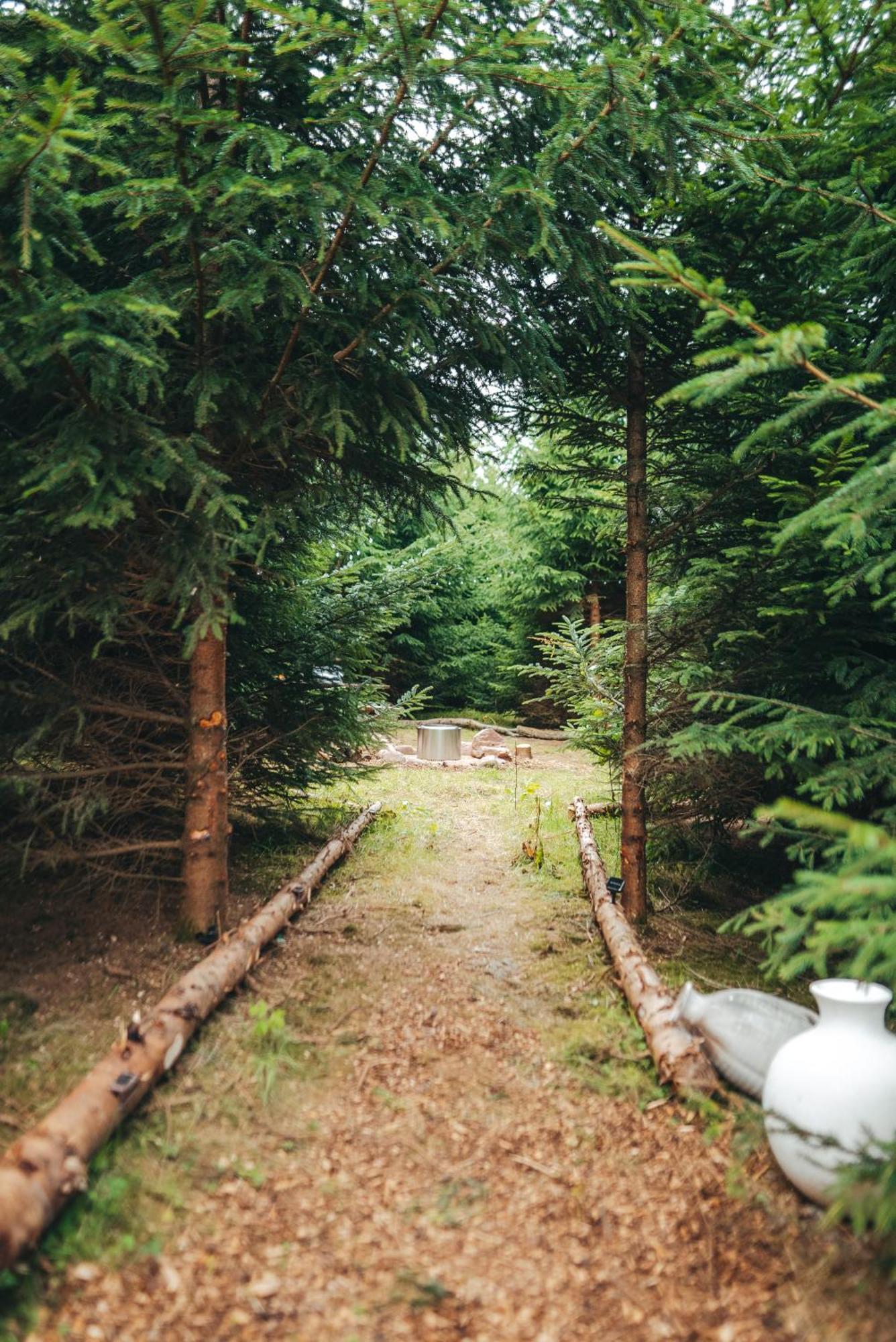 Cosy Forest Lodge Penrhos  Extérieur photo