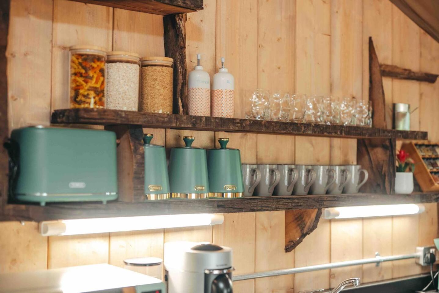 Cosy Forest Lodge Penrhos  Extérieur photo