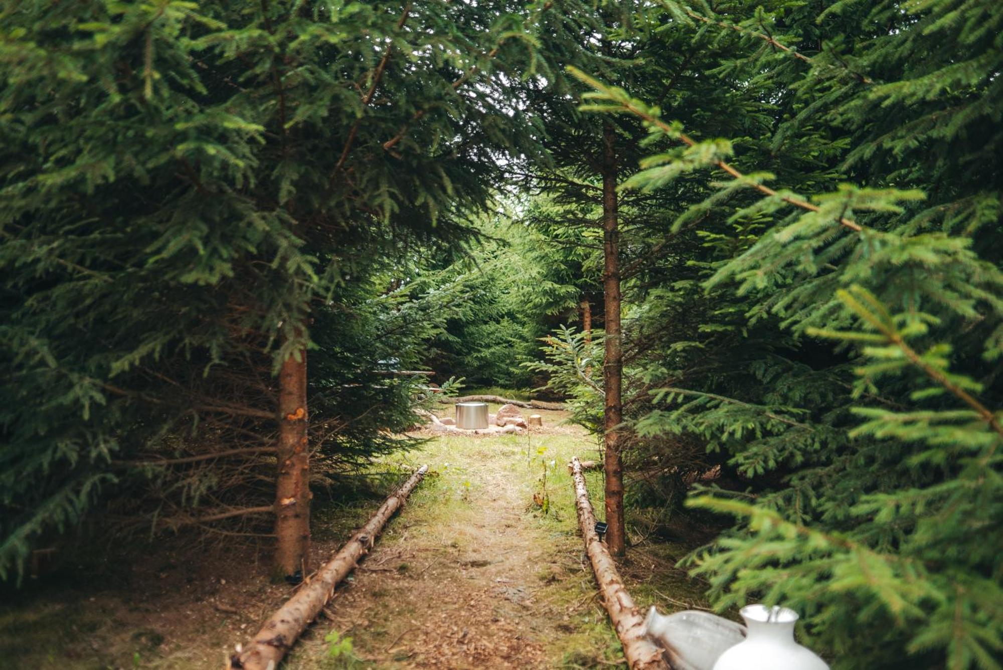 Cosy Forest Lodge Penrhos  Extérieur photo