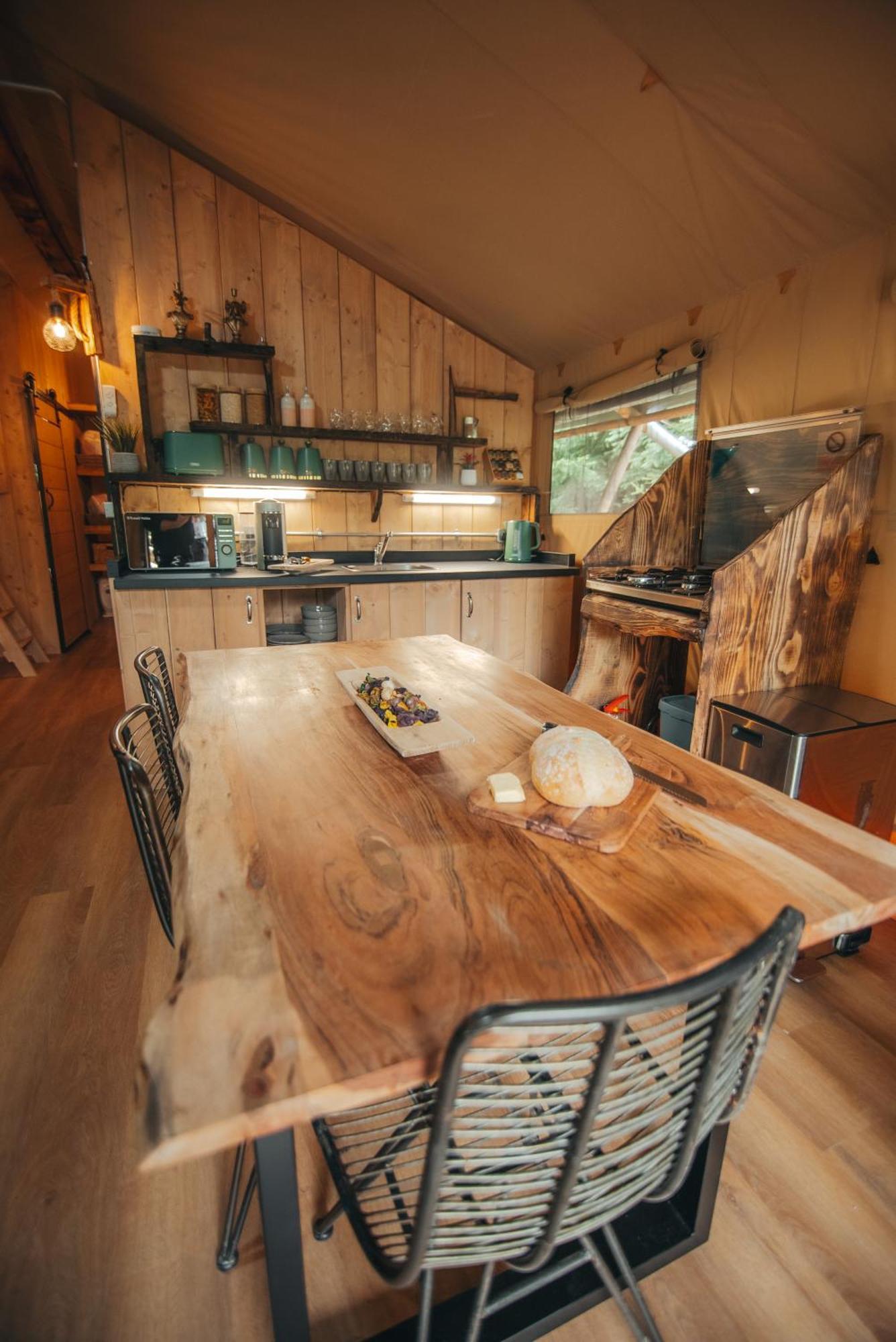 Cosy Forest Lodge Penrhos  Extérieur photo